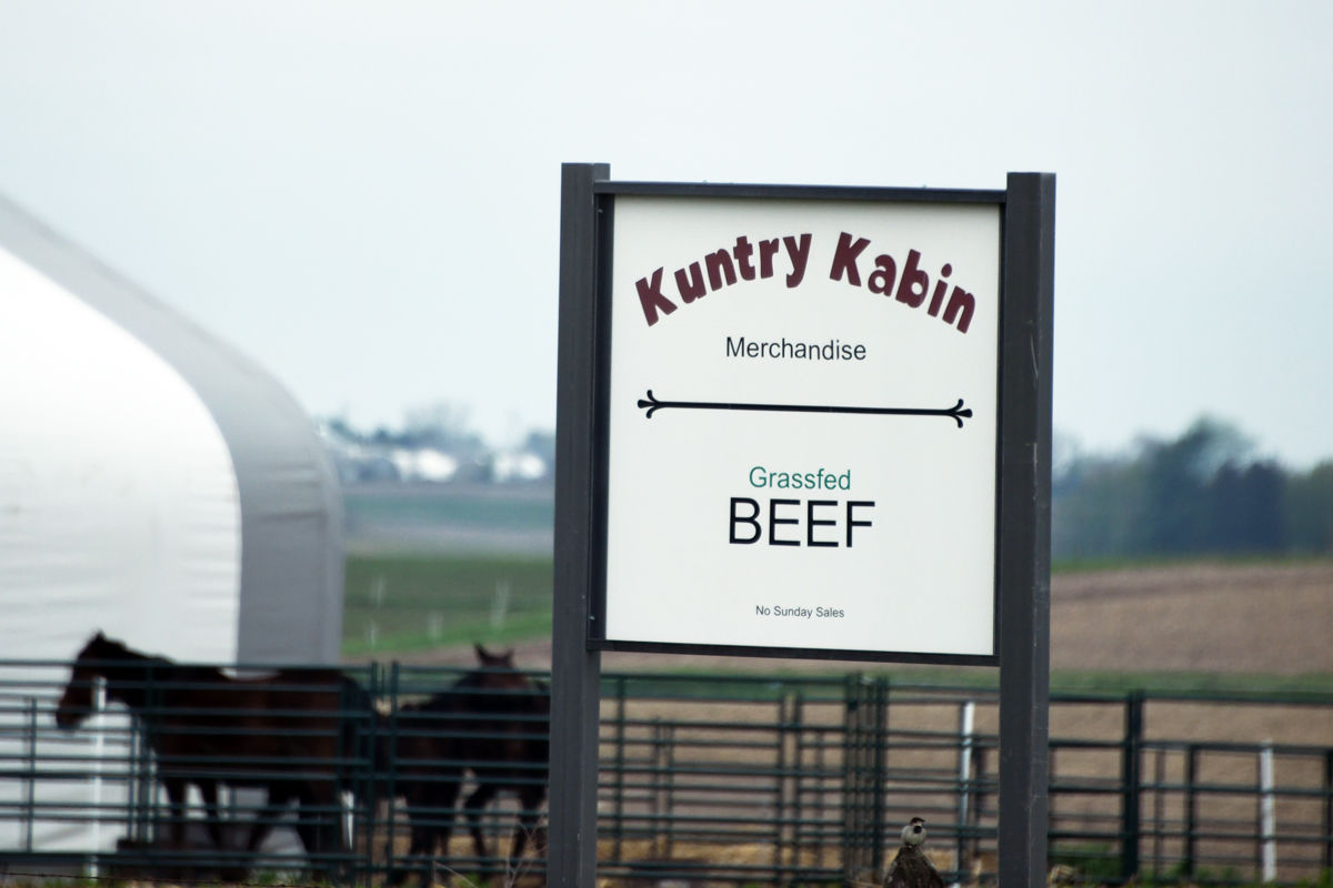 120 The Fun Club visited Kuntry Kabin but the farmer wasn't home.JPG